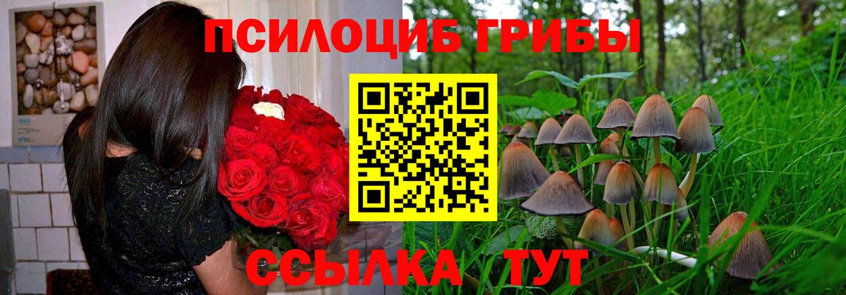 Псилоцибиновые грибы мухоморы Ставрополь